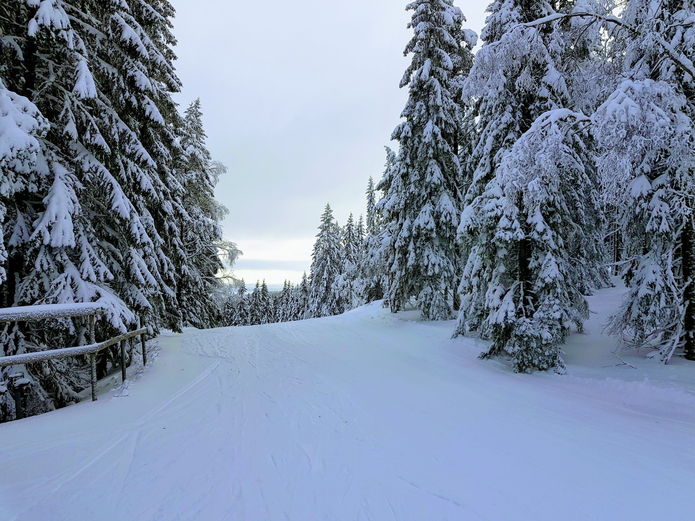 Sunne Ski & Bike (Sunne Bike Park)